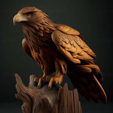 3D model Buteo bannermani (STL)